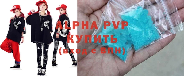 гидра Ессентукская