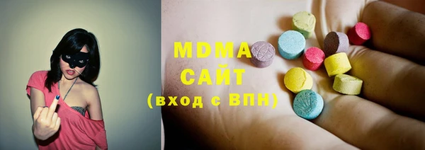 стаф Ельня