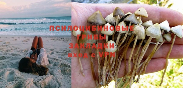 метадон Елизово
