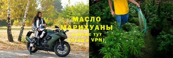 стаф Ельня