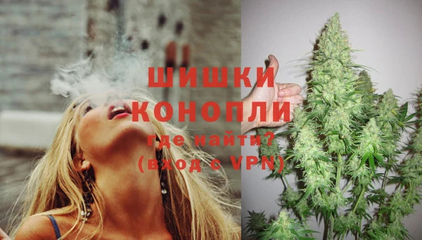 гидра Ессентукская