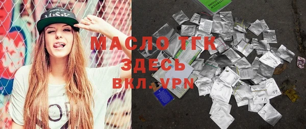 стаф Ельня