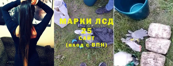стаф Ельня
