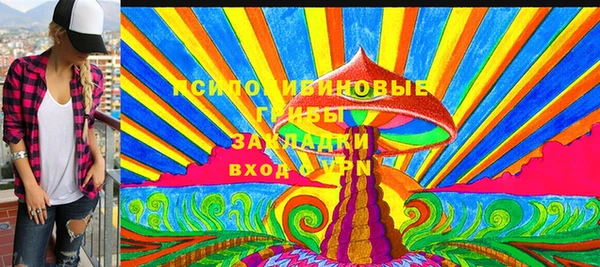 мдма Дмитриев