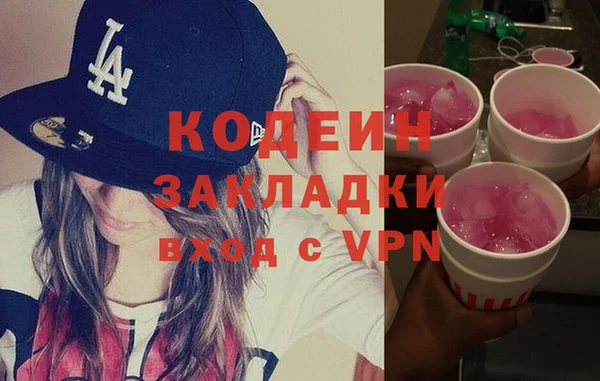 стаф Ельня