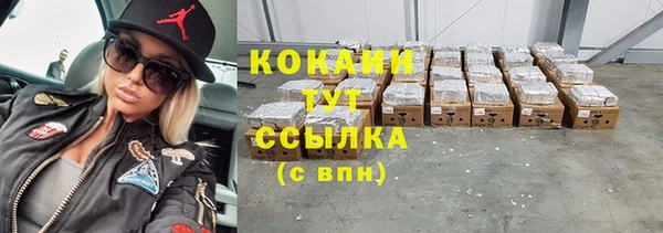 стаф Ельня