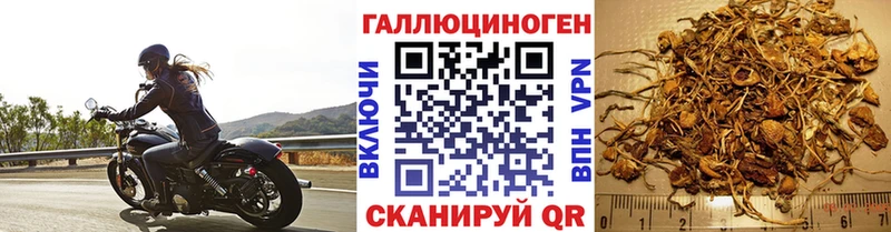 Псилоцибиновые грибы мицелий  blacksprut зеркало  Новая Ляля 